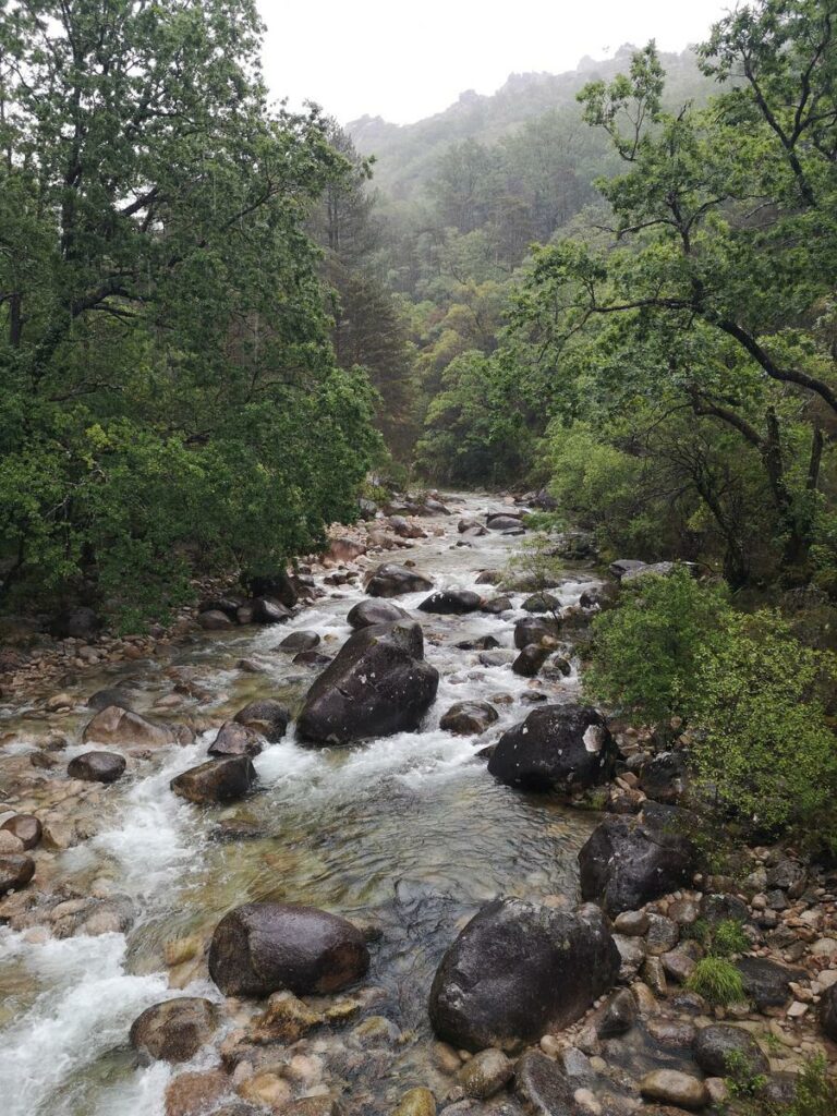 Caminhadas 1