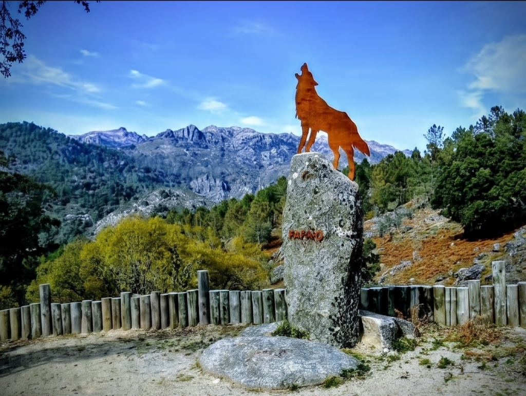 Home Explorar o Gerês